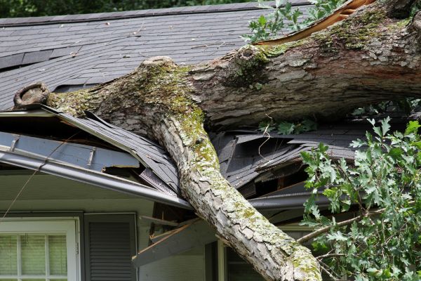 Cost of Storm Remediation in Clearwater