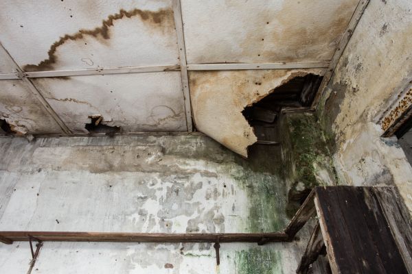 Water Damage Service in Clearwater