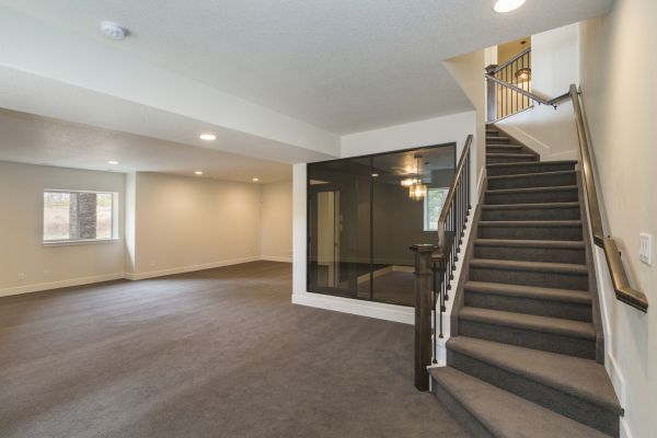 Cost of Basement Restoration Service in Clearwater