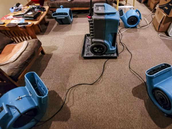 Cost of Flood Damage Recovery in Clearwater