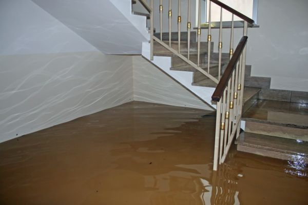 Storm Damage Restoration in Clearwater