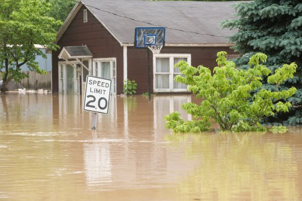 Cost of Storm Restoration Service in Clearwater
