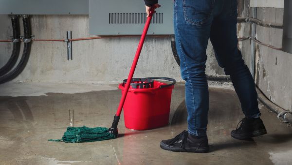 Cost of Flooded Basement Cleanup in Clearwater