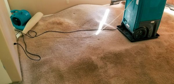 Flood Damage Cleanup in Clearwater