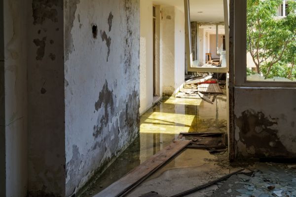 Water Removal Service in Clearwater