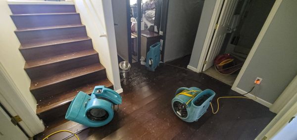 Water Damage Remediation in Clearwater