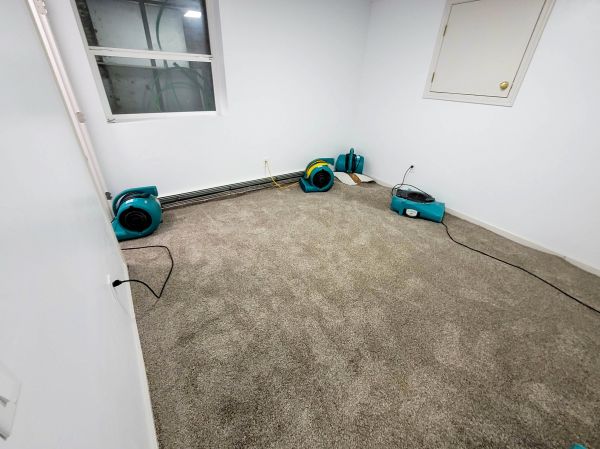 Flood Restoration Service in Clearwater