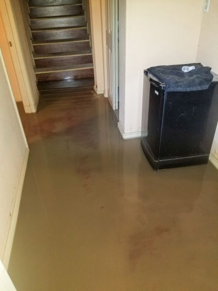 Emergency Water Removal in Clearwater