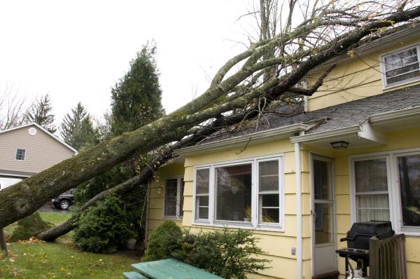 Hurricane Damage Repair in Clearwater