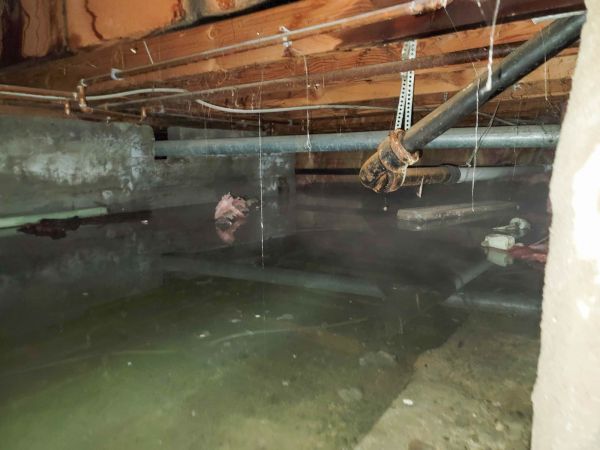 Crawlspace Water Restoration in Clearwater